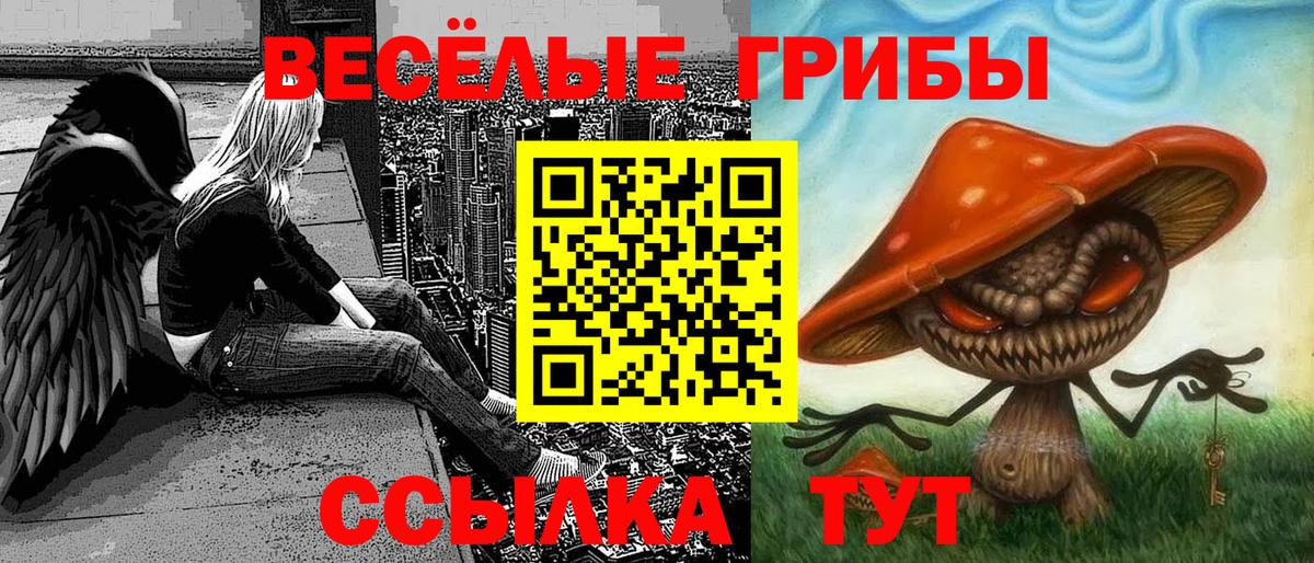 Псилоцибиновые грибы Cubensis Углич